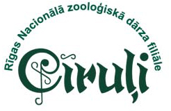 ciruli_logo