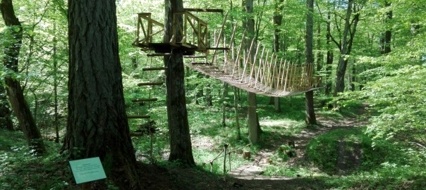 Cīravas mežaparks